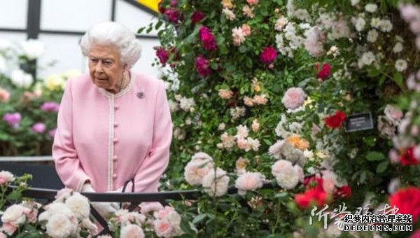 英女王称政府当务之急是10月底“脱欧”