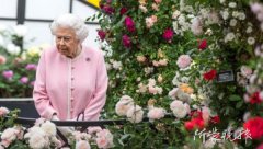 英女王称政府当务之急是10月底“