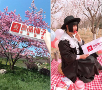 良品铺子IPO后首个“大动作”:布局健康零