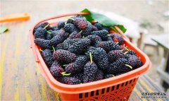 女性推荐多吃3种食物，排毒养颜、滋润肌