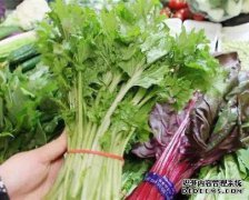 女性推荐常吃3种食物，营养丰富、有益健