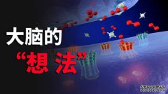 我们的大脑就会感觉非常的不快乐，这究
