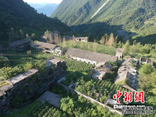 图为植被恢复的大窝社区。 大窝社区供图