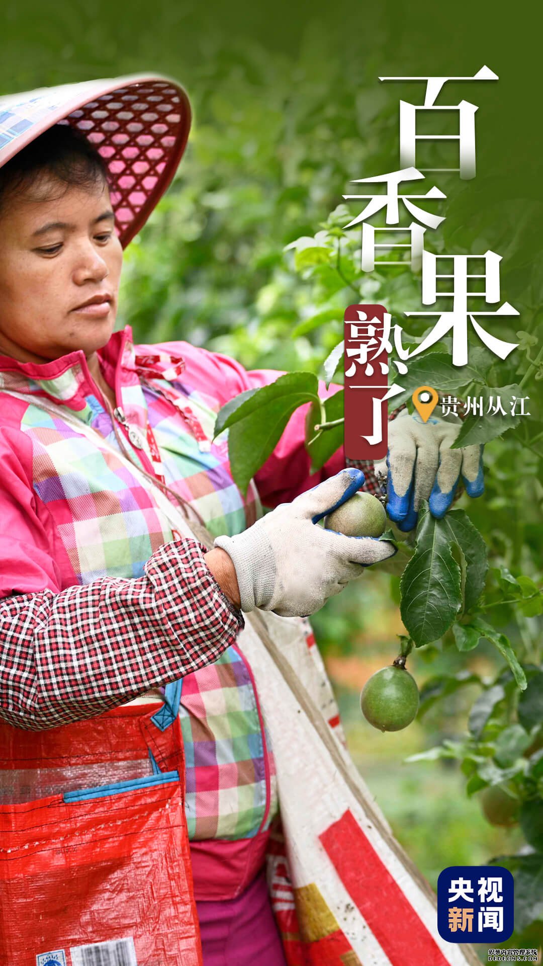 比过山车还刺激！“超级铁路”带你穿越隧道 看