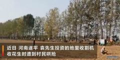 承包商收花生遭数百村民哄抢