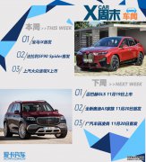 宝马iX/上汽大众途观X领衔