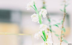 12月底，3星座勇敢让爱火重燃