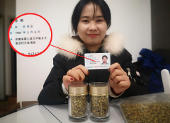 一般的石斛与铁皮石斛的区别