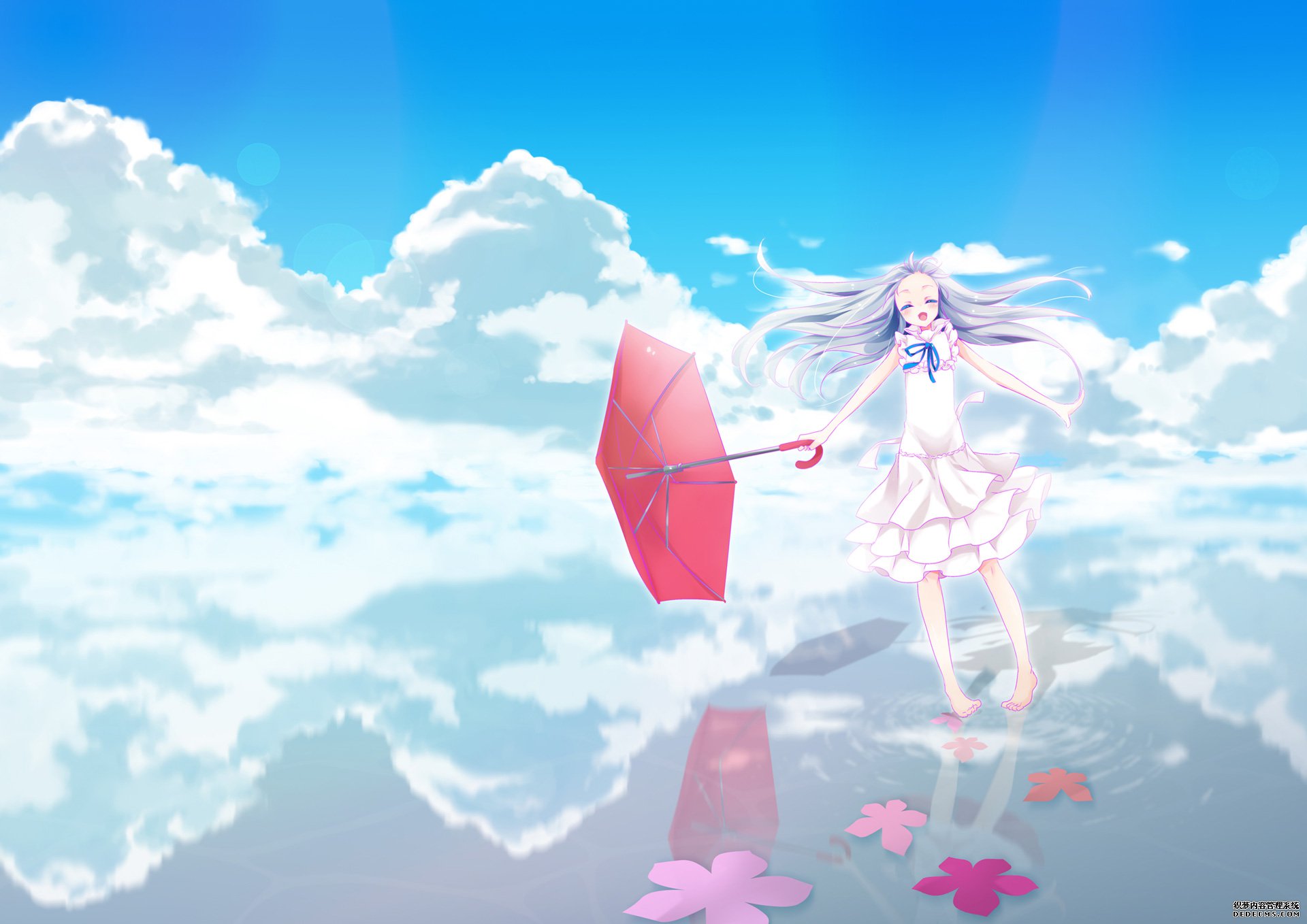 æªé»è±å é¢ç 
