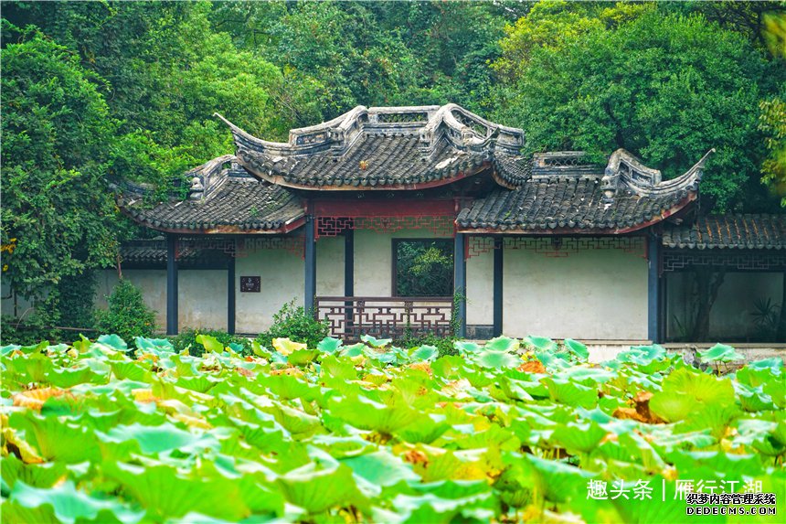 浙江有个恬静古镇，人文荟萃，出了41个进士，首富拥有60个亿