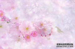 日本女性出轨率达50%，为何老公大都满不