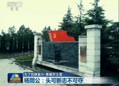 【为了民族复兴・英雄烈士谱】杨�公：