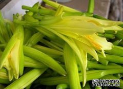 爱美的女性推荐常吃以下食物，营养丰富