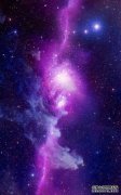 表面花心，却不滥情的星座，洒脱随性做