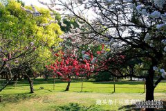 气场足，容易引起别人注意的星座