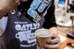 植物蛋白饮领导者OATLY，燕麦奶的“野心