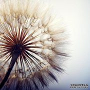 4月，好运进家门！能够时来运转，福气财