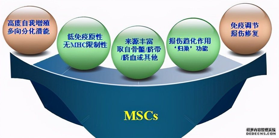 人脐带间充质干细胞可以安全有效的治疗膝关节炎吗？