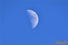 规避风险，改善目前状况，十二星座今日
