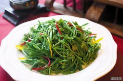 女性推荐常吃3种食物，美容养生，延缓衰
