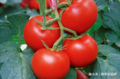 女性不想变老，多吃3种食物，能够美容抗