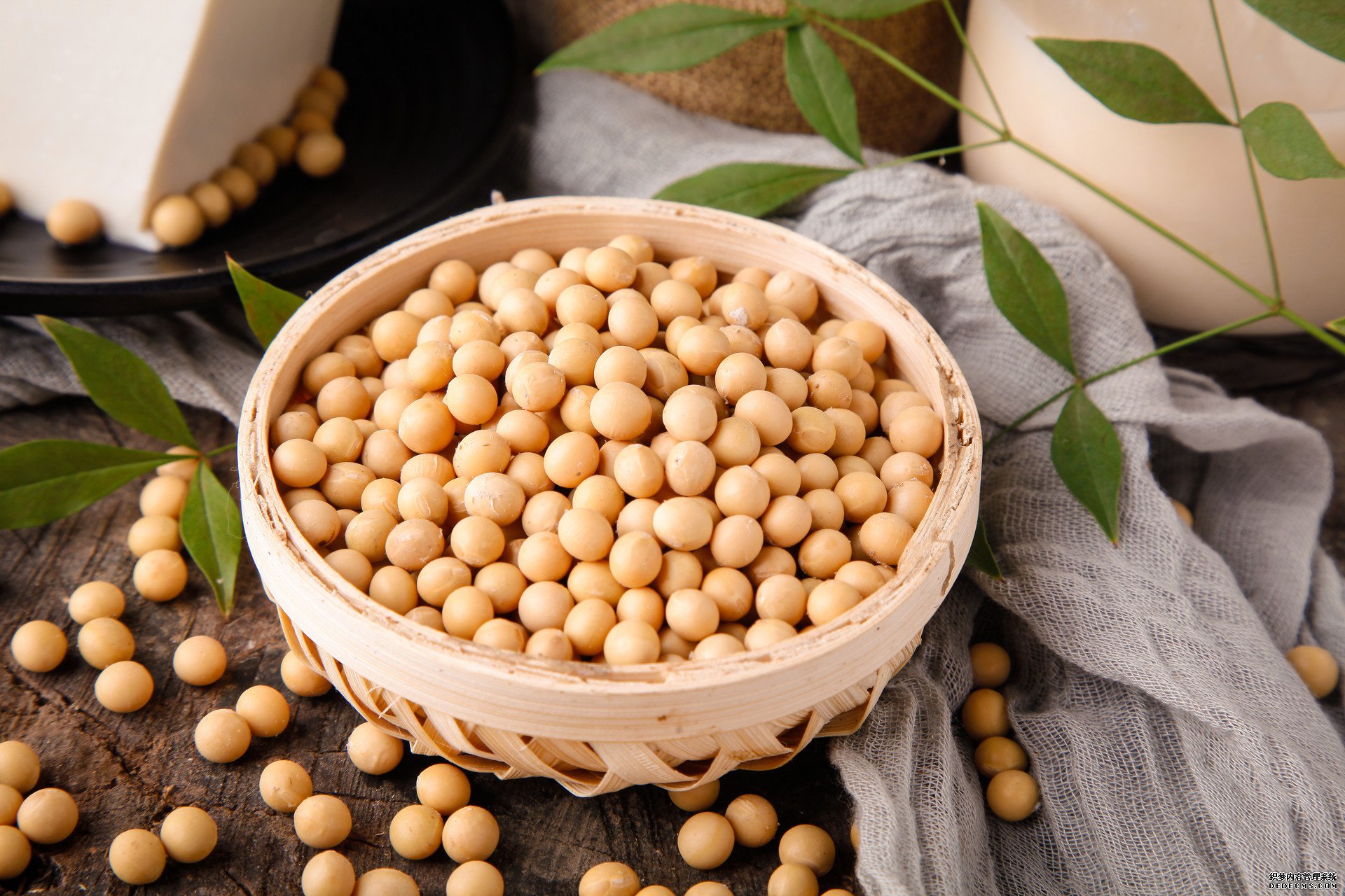 摄图网_501040784_banner_有机大豆黄豆（非企业商用）.jpg