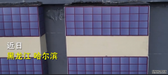 哈尔滨一居民楼现“纸糊窗户”，网友曝