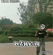 安徽蚌埠：恶犬小区咬伤孩童，主人叫嚣