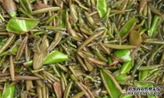 女性想气色好，平时吃的食物，排毒清肠