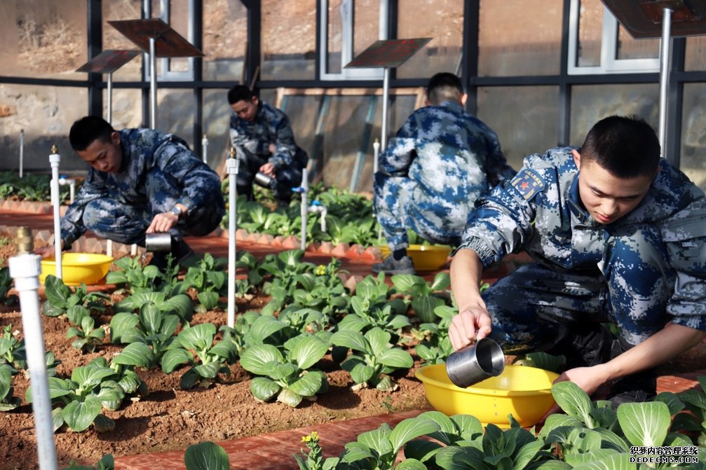 永不生�的鋼釘︰走近海島雷達兵心中的“紅色