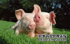 上半年我国新能源汽车赛道吸金超827亿元