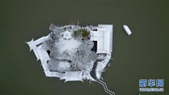 瑞雪贺新春