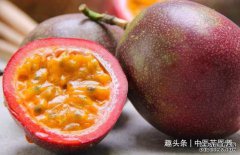 女性都爱美，吃养颜好食物，改善肌肤、