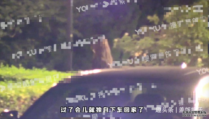 王菲现身聚会兴致高，和李嫣搭话烟酒不离手，对方态度冷淡无回应