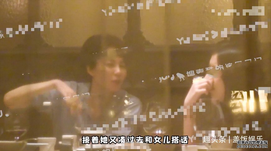 王菲现身聚会兴致高，和李嫣搭话烟酒不离手，对方态度冷淡无回应