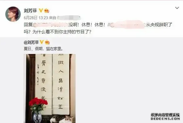 央视美女主持刘芳菲豪宅曝光，身后肖像画显眼，宝石摆件不一般