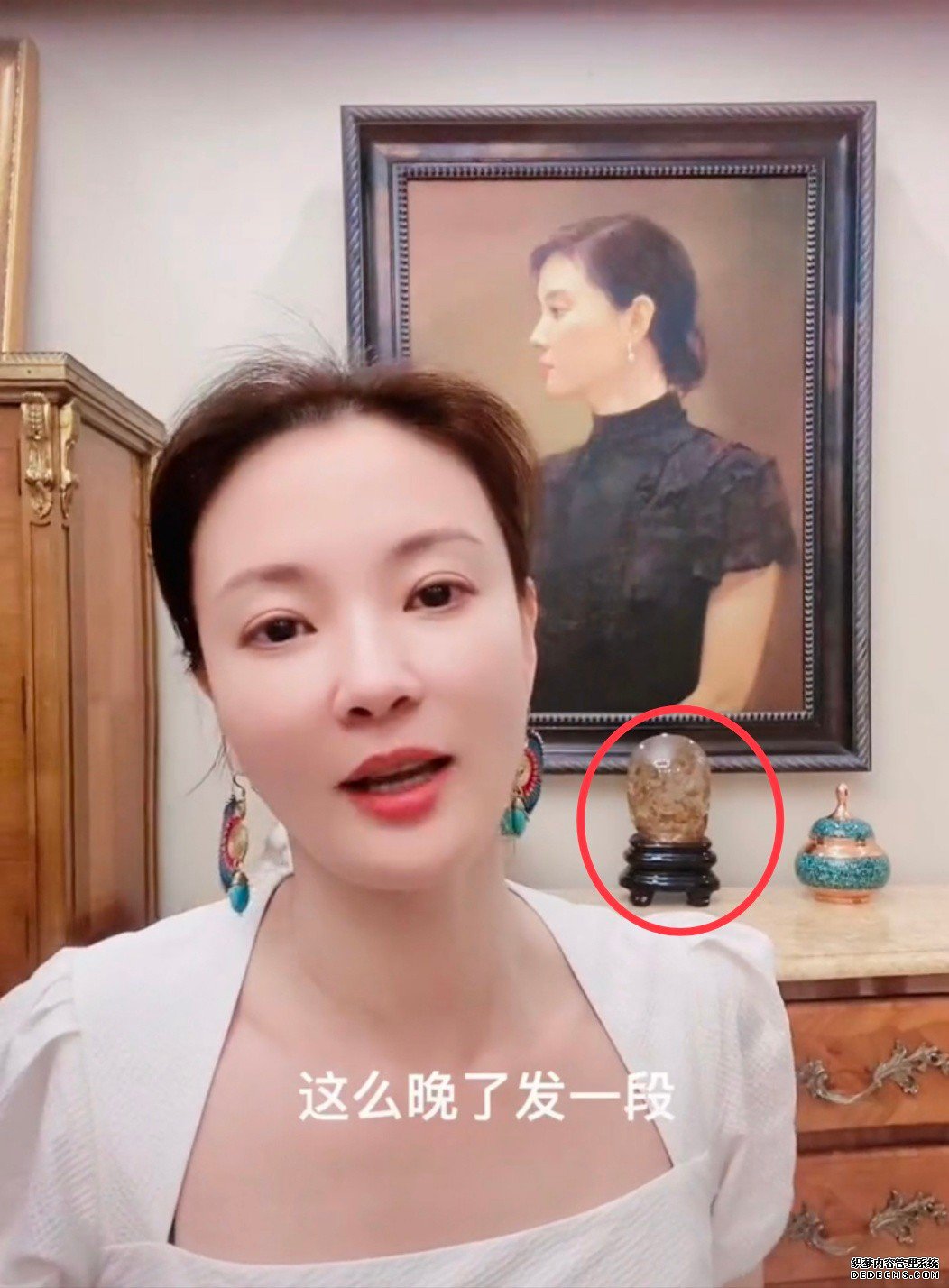 央视美女主持刘芳菲豪宅曝光，身后肖像画显眼，宝石摆件不一般