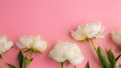 这个星座强势又坚定，死要面子活受罪