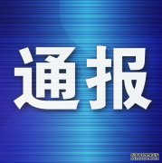 一辆公车一年换10条轮胎，巡察组追查背
