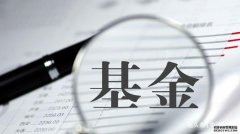 FOF整体收益喜人，华泰保兴初战告败
