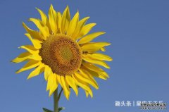 /uploads/allimg/211106/1H5334618-0-lp.jpg