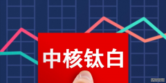 9只A股“被严重低估”的磷酸铁锂龙头股
