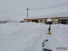 暴雪下的通辽：雪深半米，牲畜棚被压塌