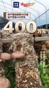 【决胜2020】脱贫成绩单，看看陕西担当！