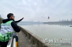 有人以保护红嘴鸥为名兜售鸥粮？鸥粮充