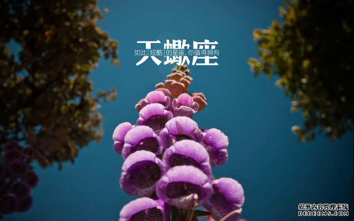 wpsBC89.tmp.png