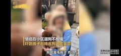 西安“狗比人金贵”视频引争议，涉事狗