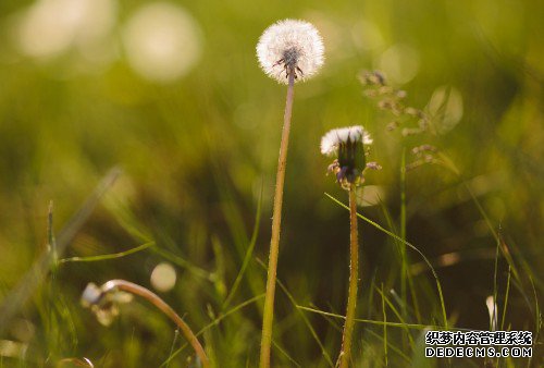5月底，桃花运上上签，不肯放下，3大生肖心里没有了恨，装满了爱（2）.jpg