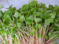 女性到了中年，要坚持吃3种食物，补充营