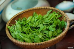 女性到了中年，推荐3种食物，补血益气，